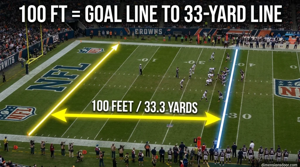 Real-Life Things That Are 100 Feet Long