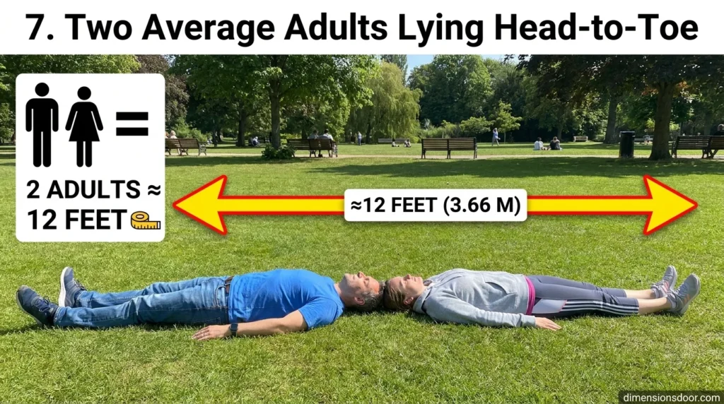 Common Things That Are About 12 Feet Long