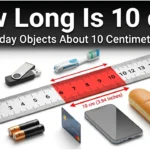 How Long Is 10 cm? 15 Everyday Objects That Are About 10 Centimeters Long