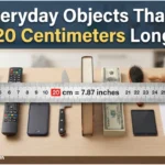 How Long Is 20 cm? 12 Everyday Objects That Are 20 Centimeters Long