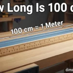How Long Is 100 cm? 15 Everyday Objects That Are 100 Centimetre Long