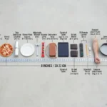 How Long Is 8 Inches? 20 Real-Life Examples, Comparisons & Visual Guide